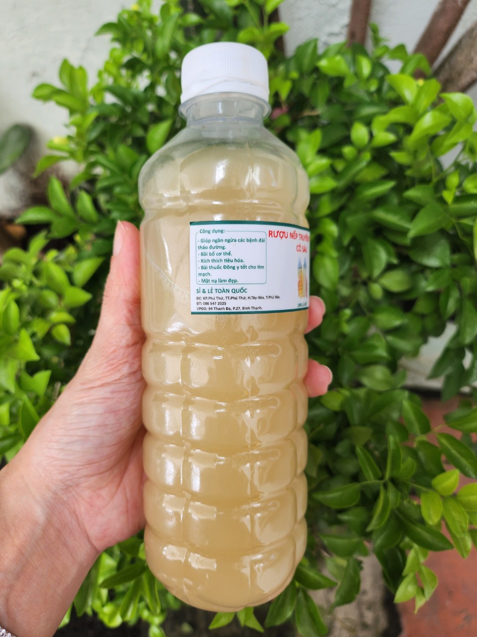 Traditional Fermented Nep Le Wine