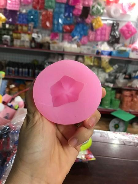 Khuôn Silicon Hoa Sứ