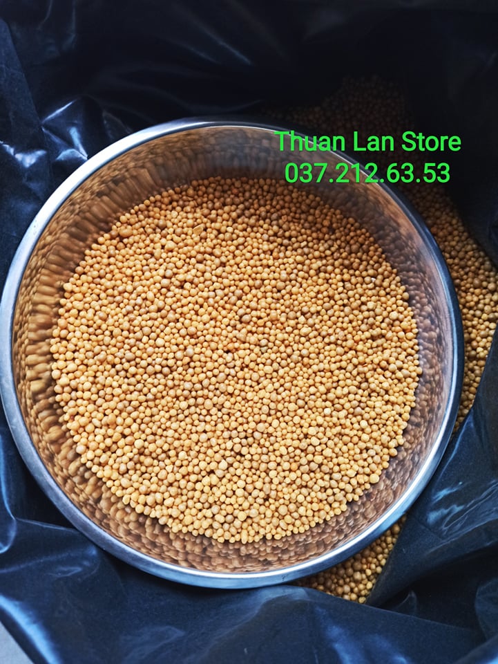 Phân Tan Chậm Hạt Vàng Mỹ 14-14-14 gói 100g