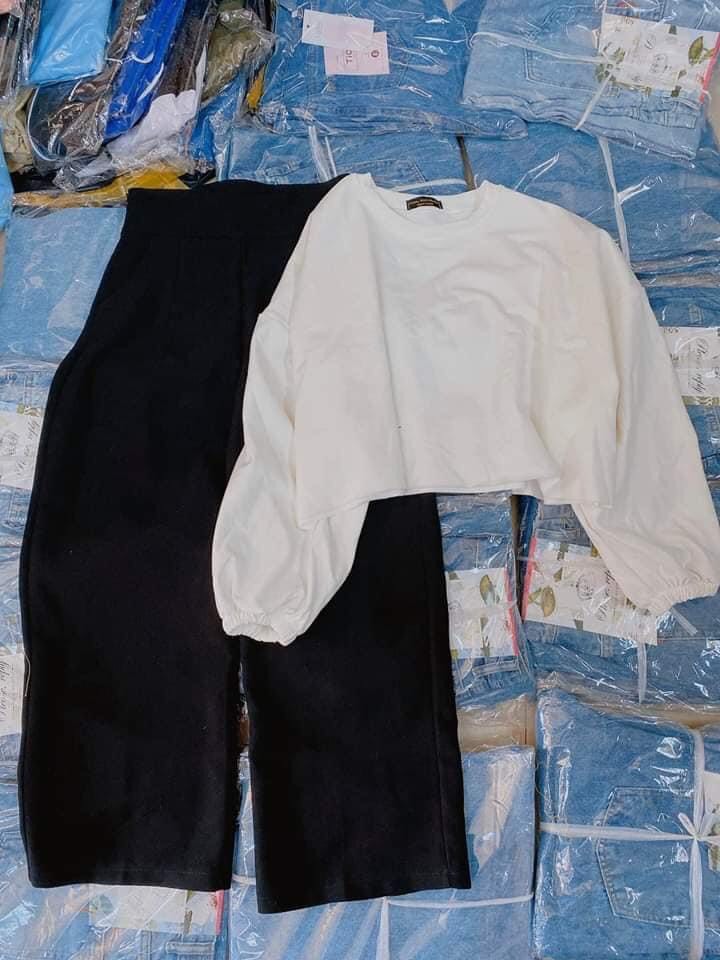 set quần suông + croptop tay dài trơn