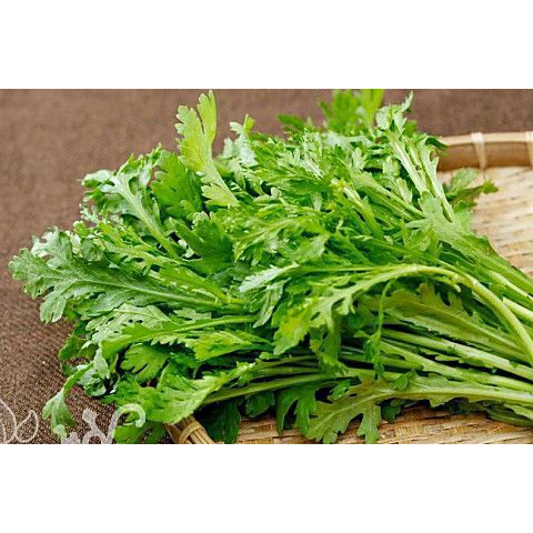 hạt giống rau tần ô ( cái cúc )- gói 20gr