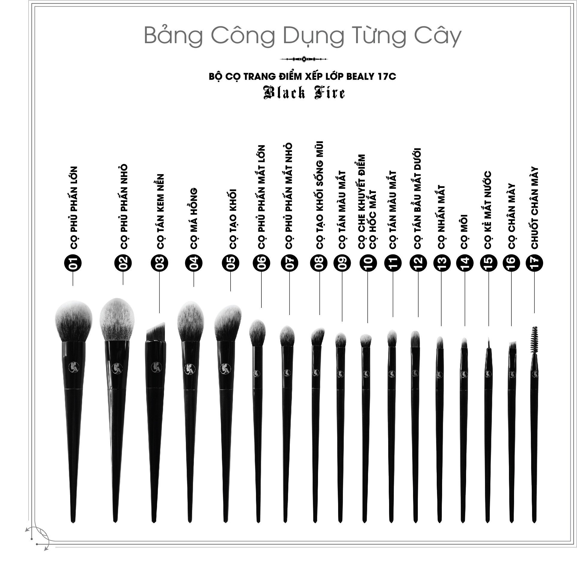BỘ CỌ TRANG ĐIỂM XẾP LỚP BLACK FIRE BEALY 17C