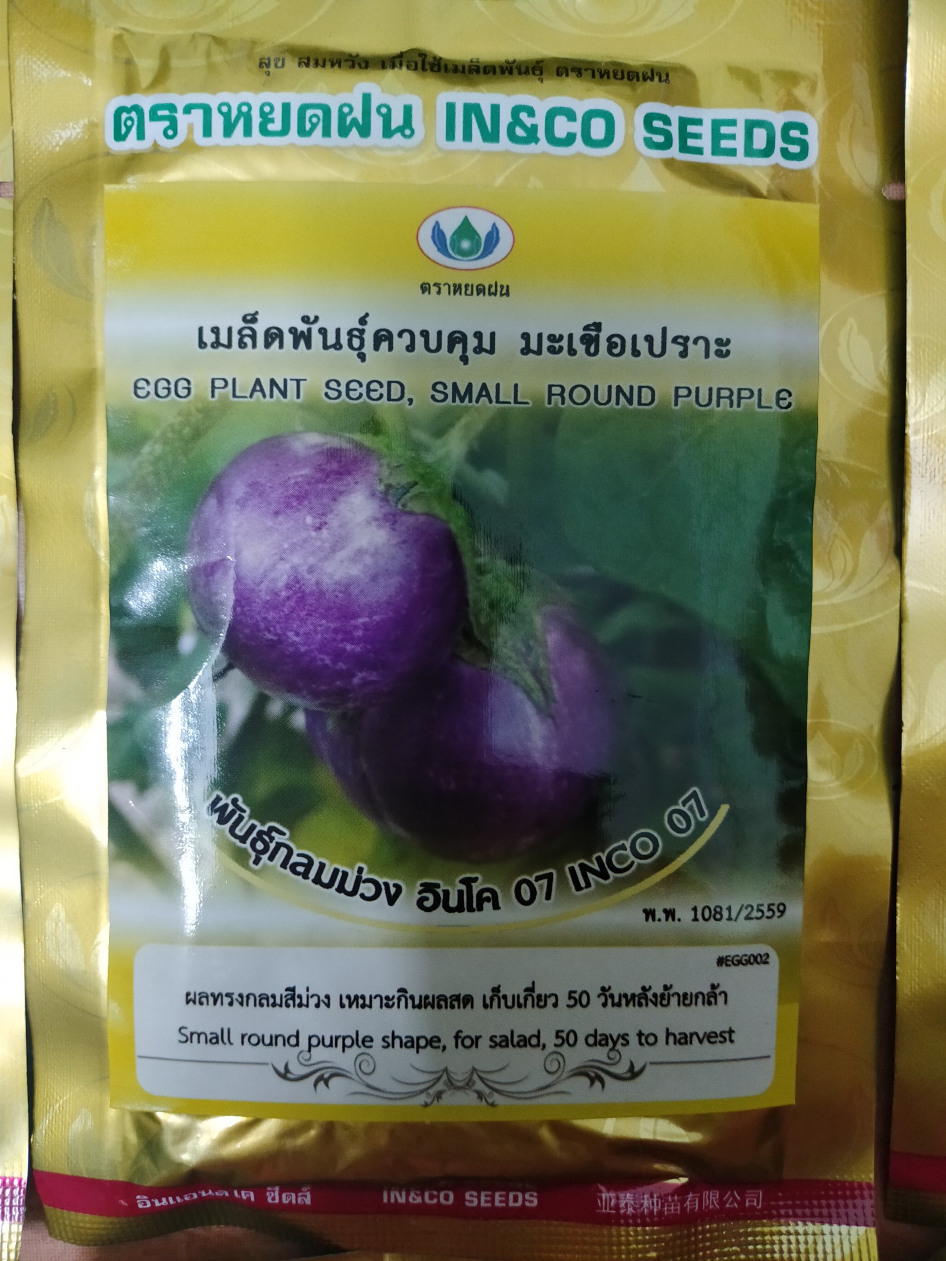 hạt giống cà pháo tím nhập khẩu thái lan