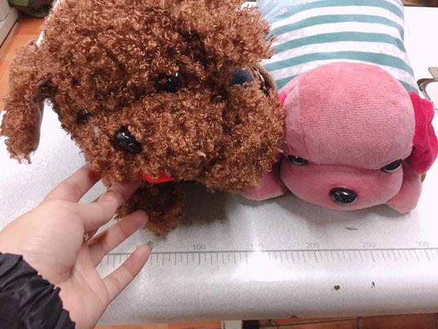 TÚI CHƯỜM ĐA NĂNG HÌNH THÚ CHO CẢ NAM VÀ NỮ KHI ĐI NGOÀI TRỜI SIÊU HOT - HÀNG LOẠI XỊN, CHẤT LƯỢNG CAO, TÚI SƯỞI ẤM HÌNH GẤU BÔNG SIÊU XINH SƯỞI ẤM TAY, CHÂN, BỤNG,...