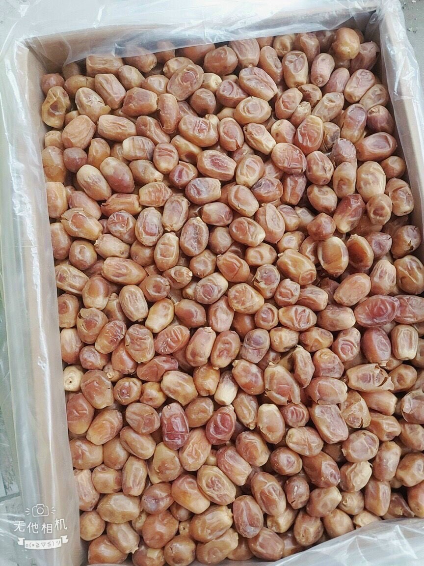 1kg chà là sấy dẻo dubai