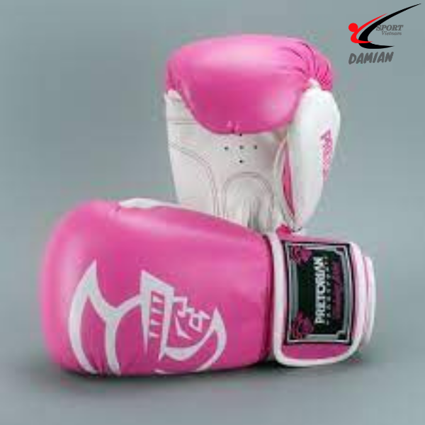 Găng tay Boxing Pretorian Classic ( Cặp )
