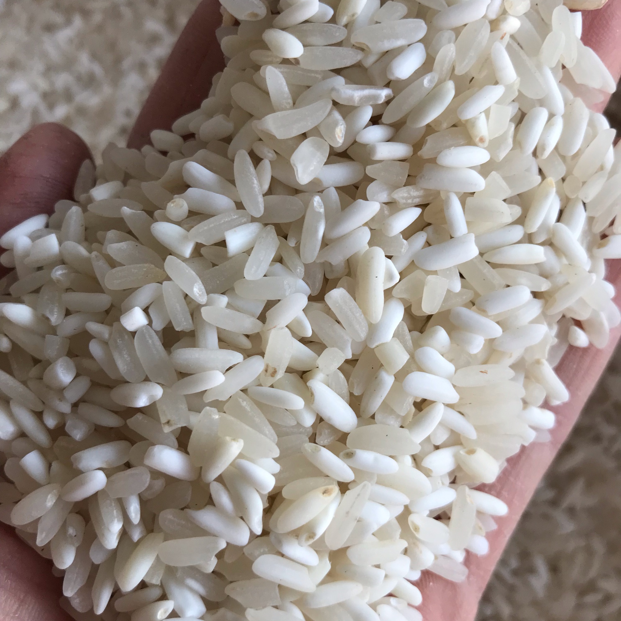 Gạo nếp nương điện biên