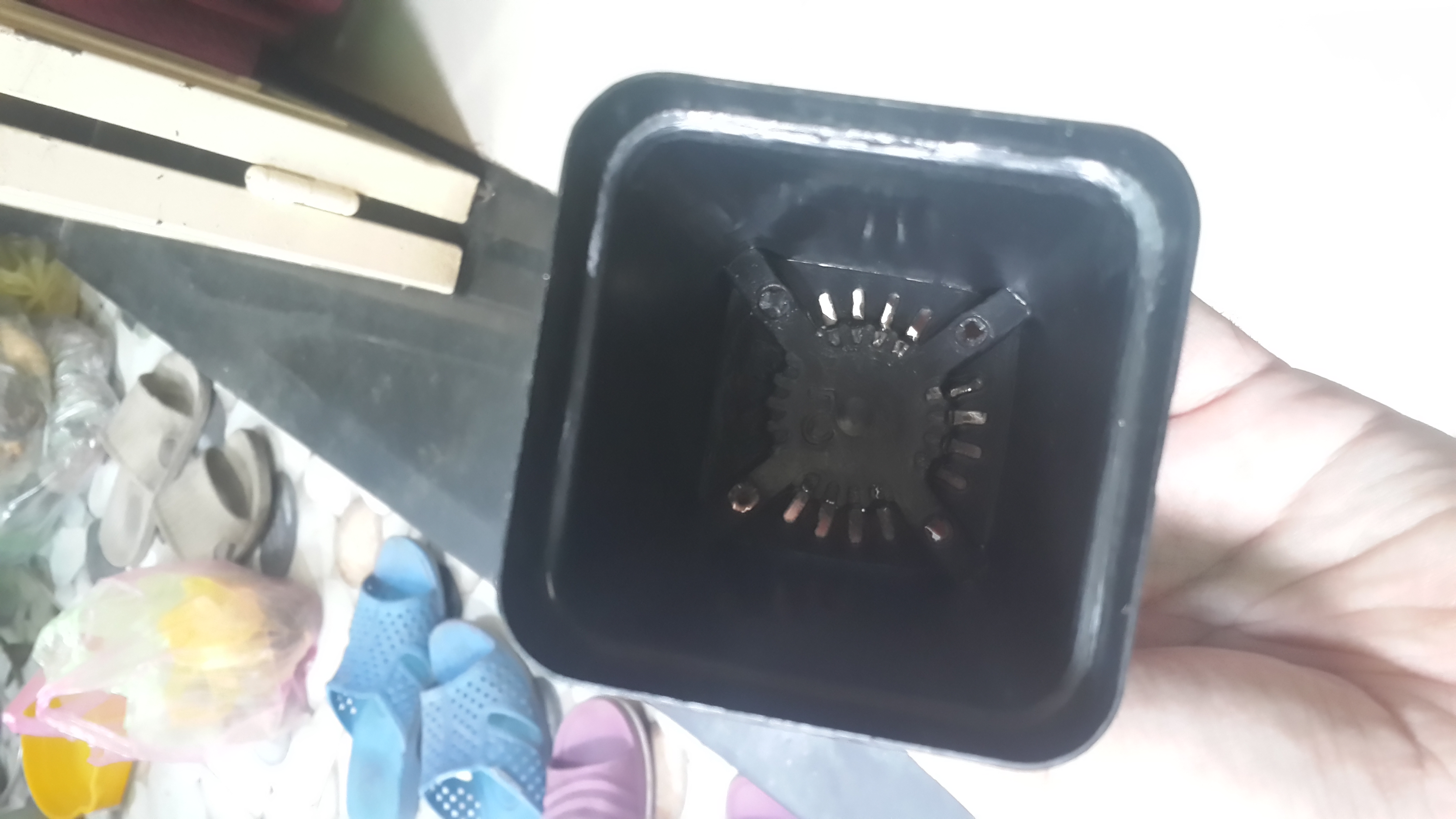 [HCM]combo 10 Chậu nhựa vuông trồng rau củ quả 7x7 cm