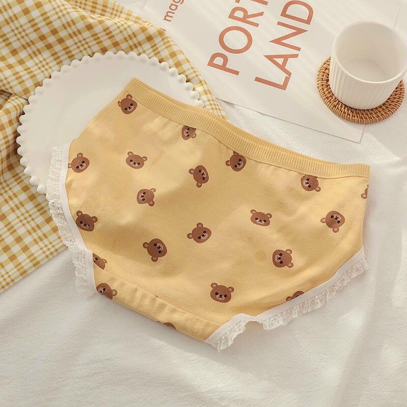 combo 5 quần gấu vàng chất cotton mát co dãn 40-58kg