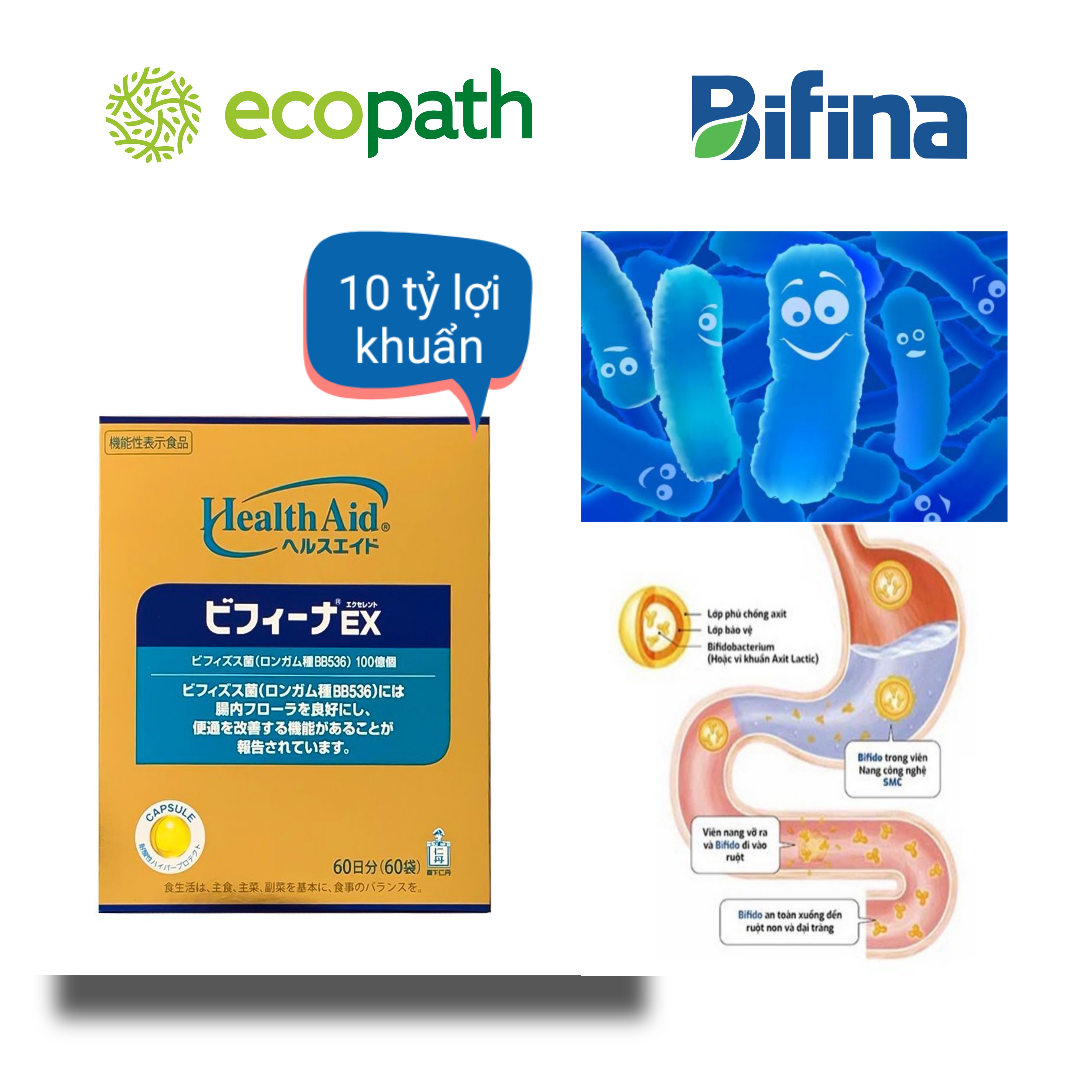 MEN VI SINH BIFINA EX HỘP 60 GÓI