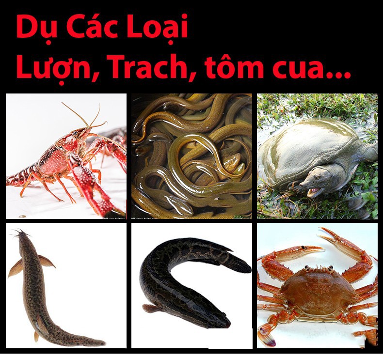 Mồi Dụ BABA , CUA , CÁ , TÔM, LƯƠN ....400 gram 100 viên