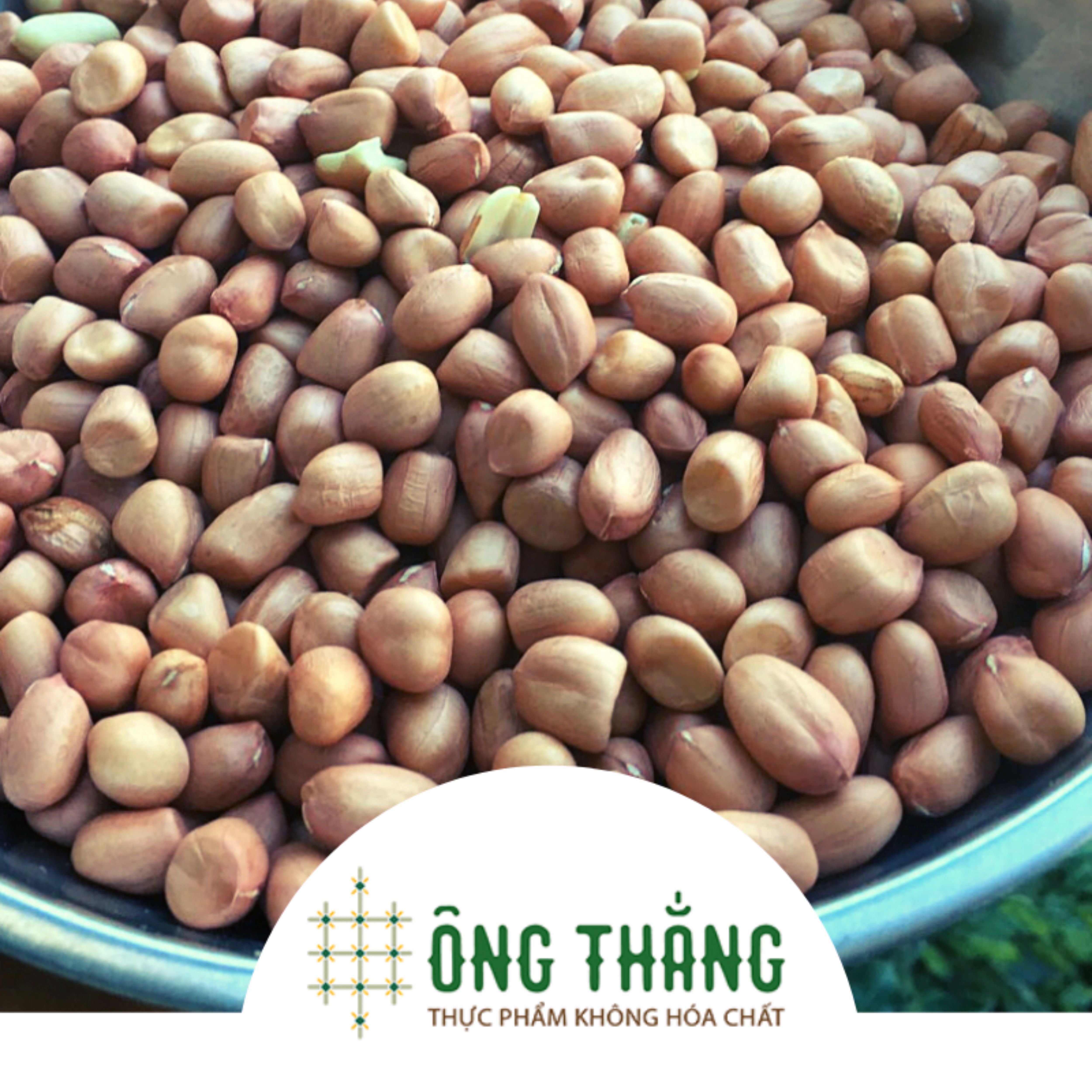 Đậu phộng nhân ÔNG THẮNG – 500G