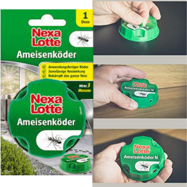 Hộp diệt kiến NEXALOTTE - hàng Đức