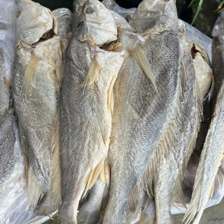 [ FREESHIP] 1KG khô cá mặn, khô cá sửu, mắm cá ốp,thịt Cá sửu ít xương, không có xương vụn, thịt ngon, ngọt làm được nhiều món, khô ngon Thoại Sơn