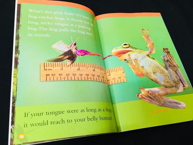 National Geographic Kids level 1 (25 cuốn)