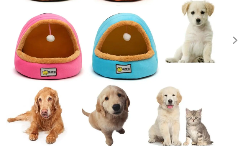 Giường có thể gập lại cho chó mèo, thú cưng, Pet House Lều Tất cả các mùa có thể giặt đệm - Blue