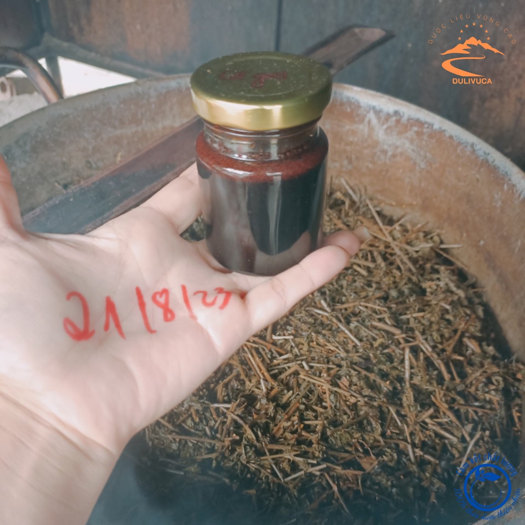 Cao cà gai leo nguyên chất được nấu thủ công từ cà gai leo khô giúp giải độc gan, giải rượu, hỗ trợ thanh nhiệt mát gan