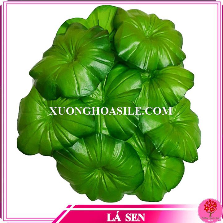[HCM]LÁ SEN LÀM HOA