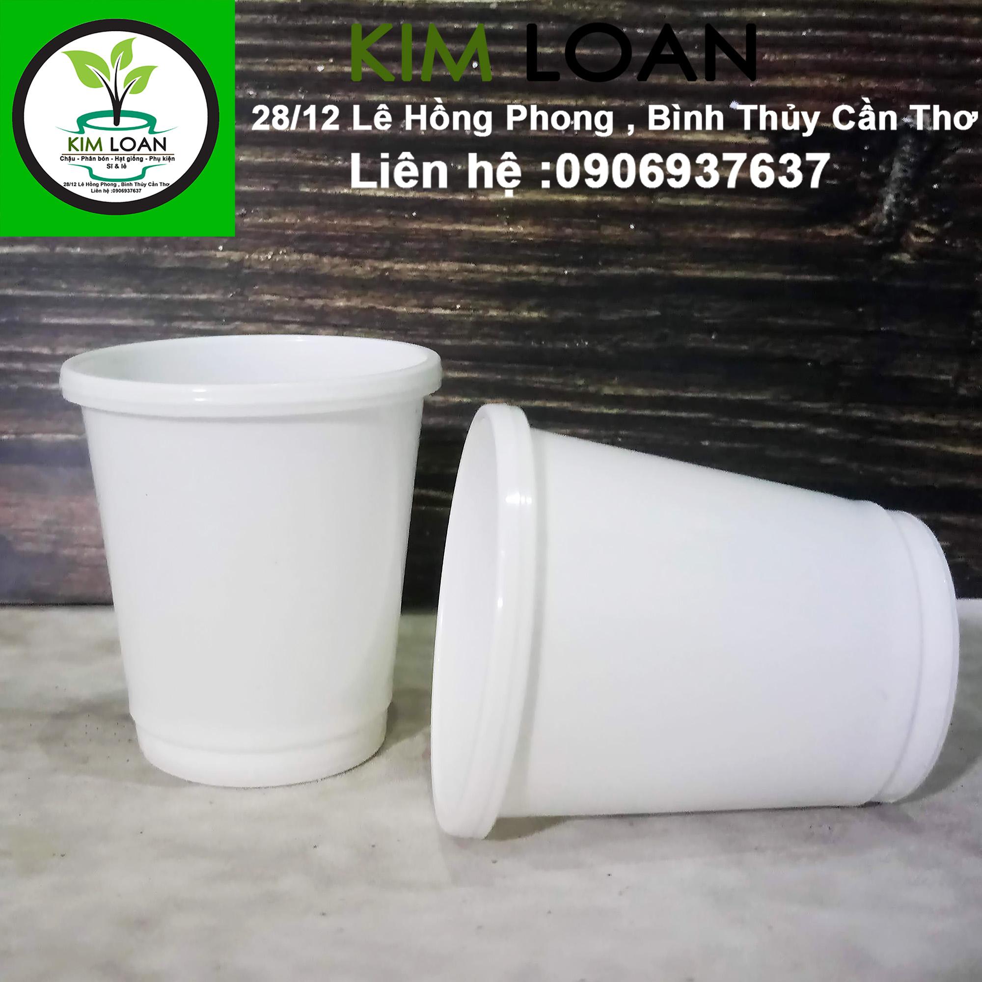 Combo 100 chậu nhựa tròn ươm cây 6x6cm