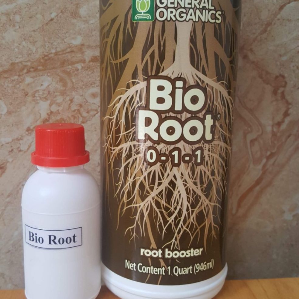 General Organics BioRoot