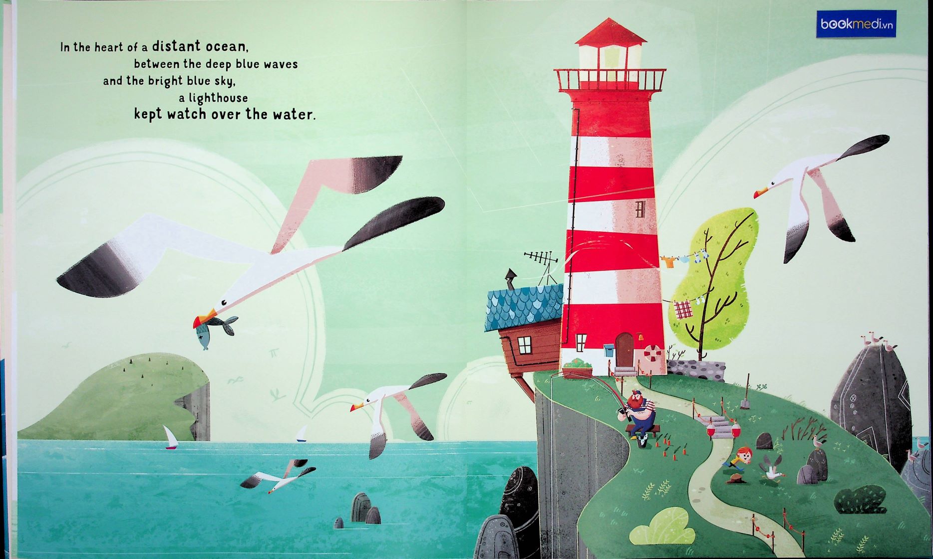 BOOKMEDI - Picture Books - A Father'S Heart