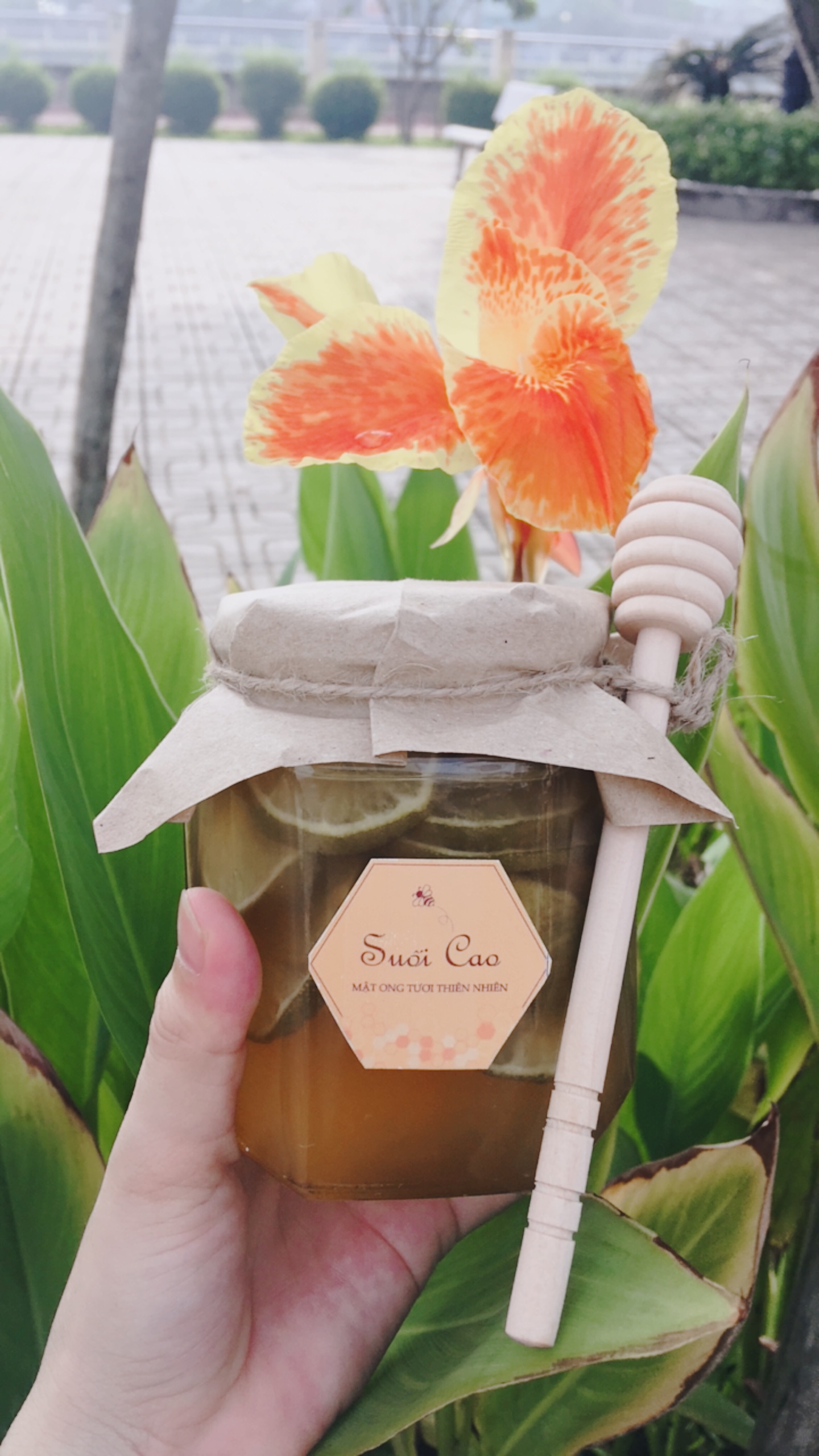 CHANH-NGÂM-MẬT-ONG-ĐƯỜNG-PHÈN-380ML