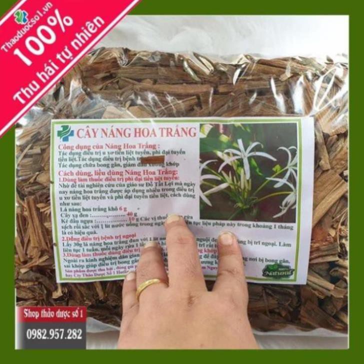 Cây náng hoa trắng Khô 1kg