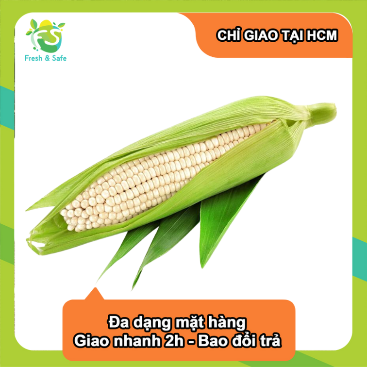 [Chỉ Giao HCM] Bắp Nếp - 1 trái