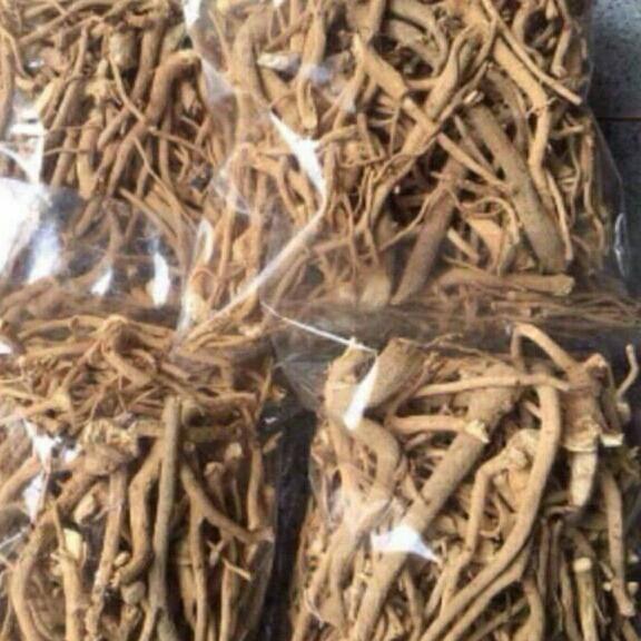 1kg rễ đinh lăng khô