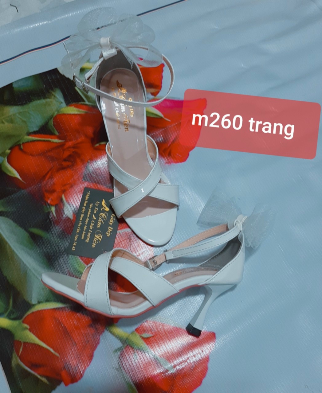 Giày cao gót nữ big size