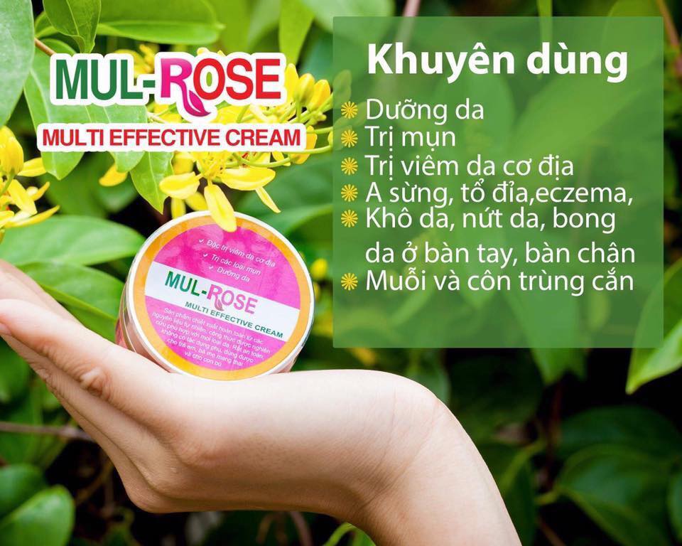 KEM MUL ROSE ĐA NĂNG 30Gr l