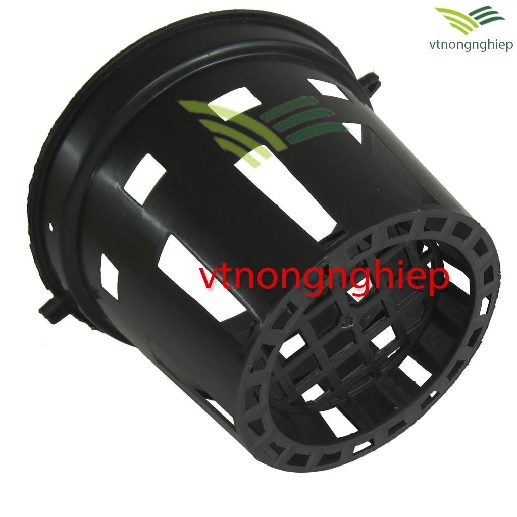 50 Chậu nhựa trồng Lan phi 16
