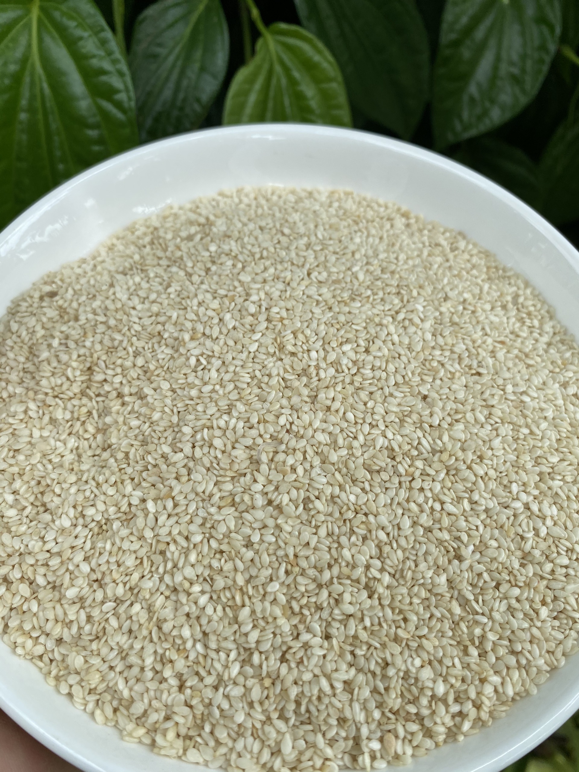 Mè trắng, mè đen túi 100g