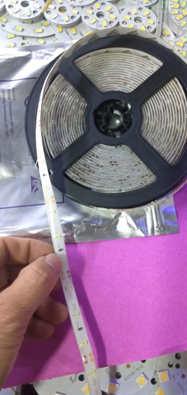 Dây led 3528 12v cuộn 5m