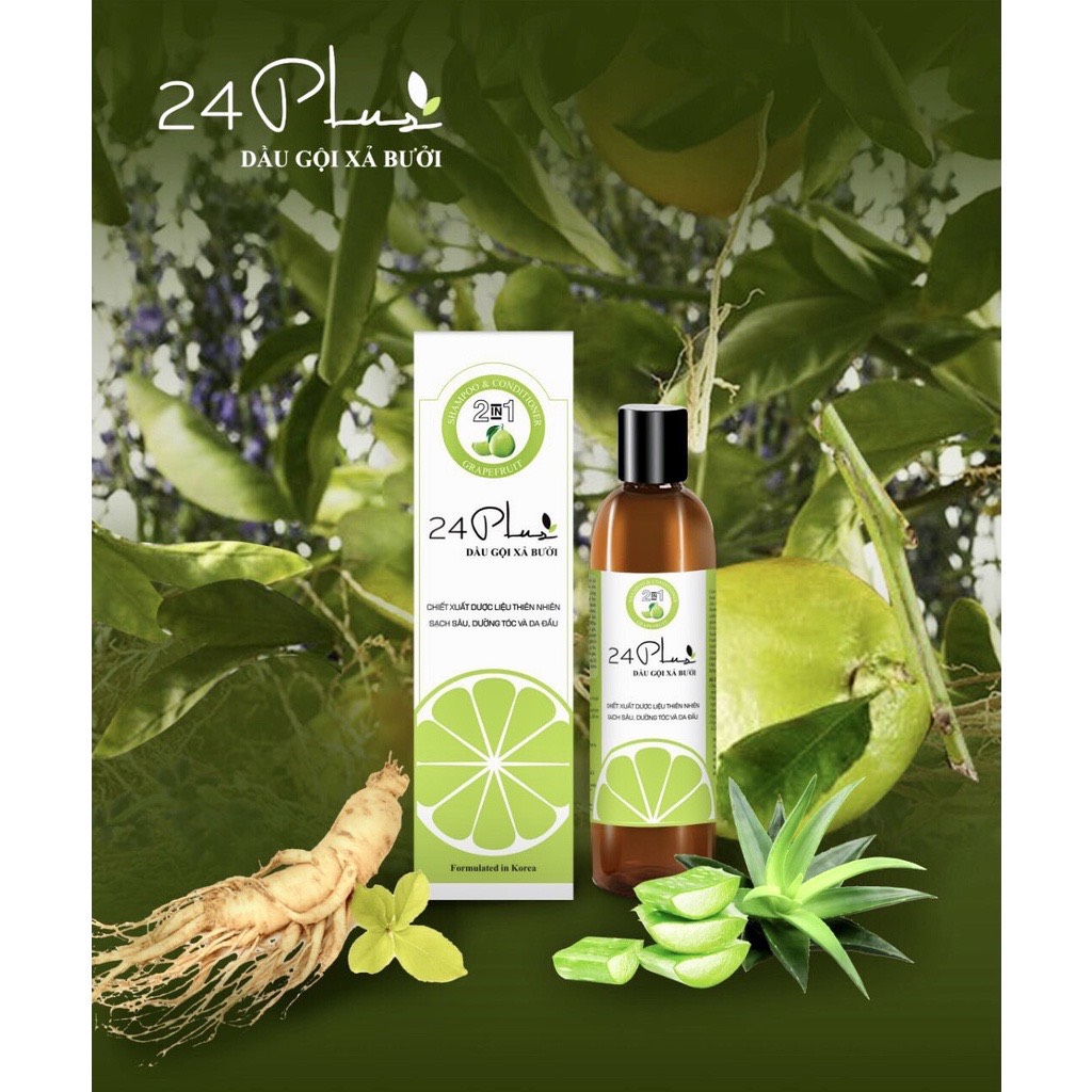Dầu gội xả bưởi 24 PLUS lọ 250ml và 500ml
