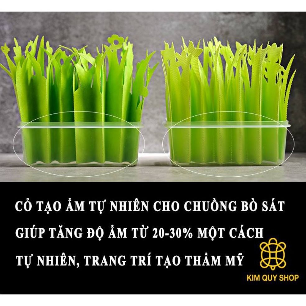 Cỏ tạo ẩm cho bò sát