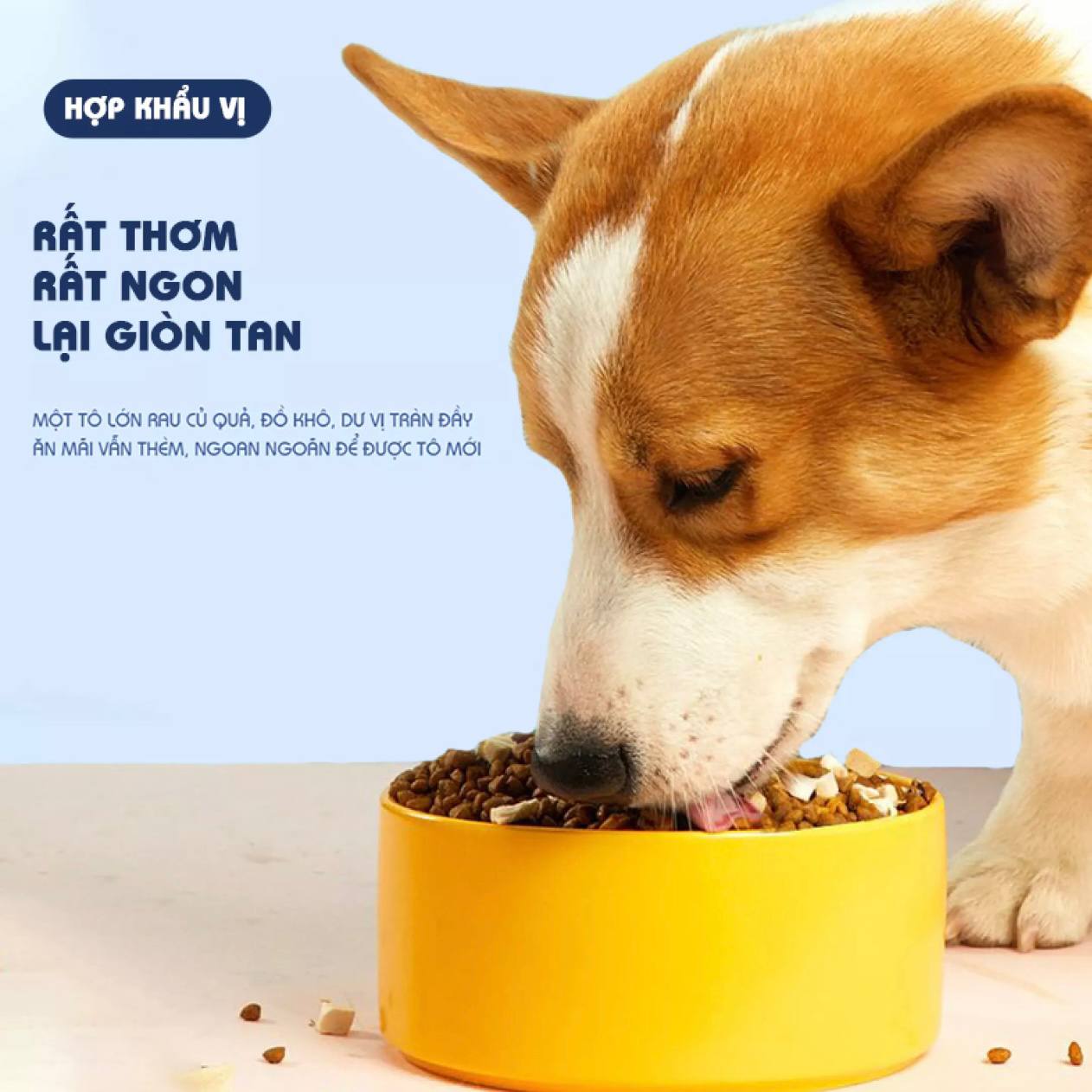 Hạt thức ăn cho chó DOCILE 4 mùi vị dành cho chó mọi lứa tuổi