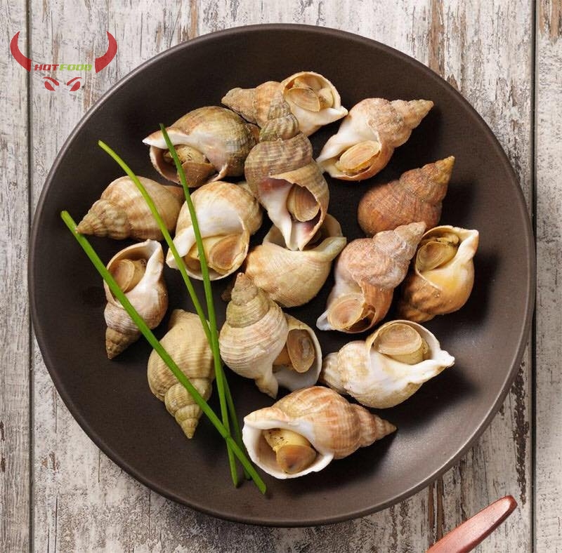 [ Miễn Phí Giao Hàng ]Ốc Bulot Pháp - 1Kg - Giao Nhanh HCM