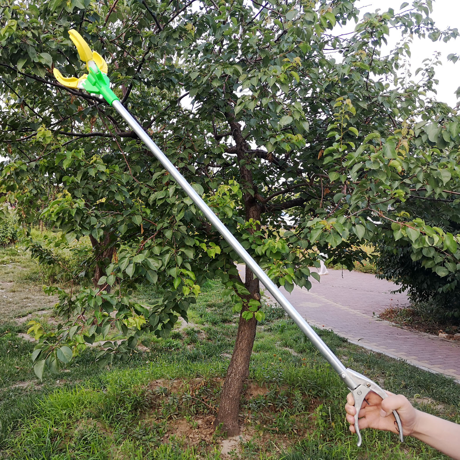 Dụng cụ thu hoạch trái cây