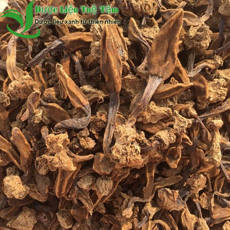 [HCM]1KG Nấm ngọc cẩu khô - NGUYÊN BÚP