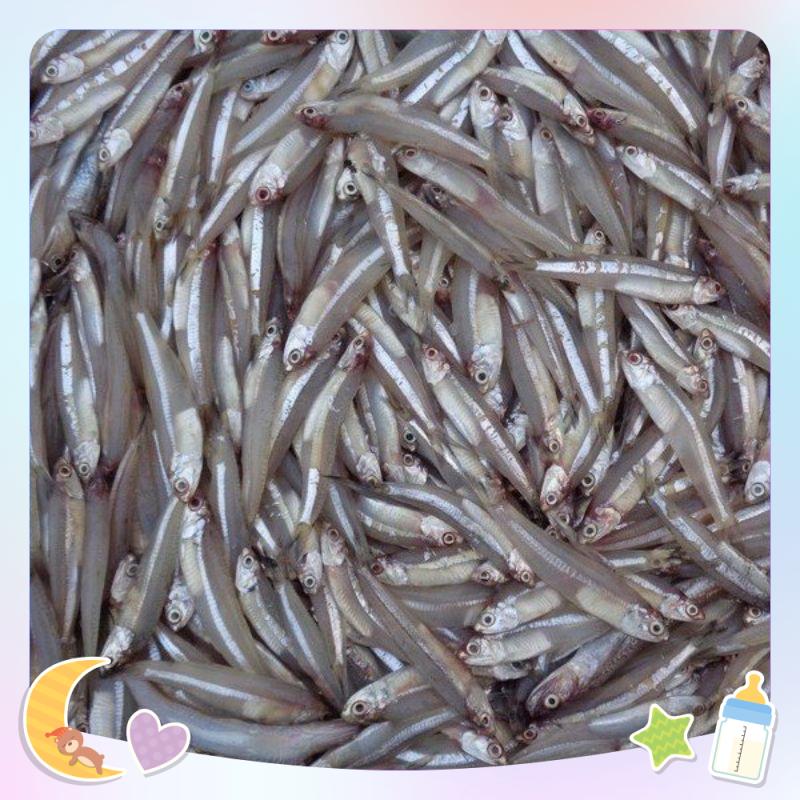 Cá Cơm Khô Một Nắng Thơm Ngon 1kg