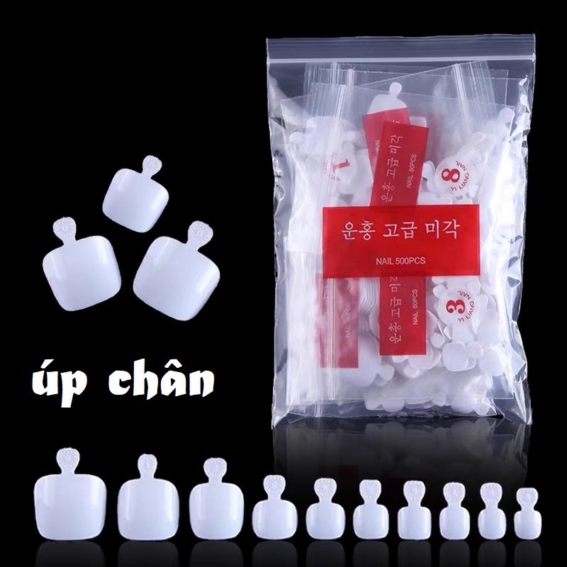 Móng úp chân HQ màu đục đủ size(600 móng)