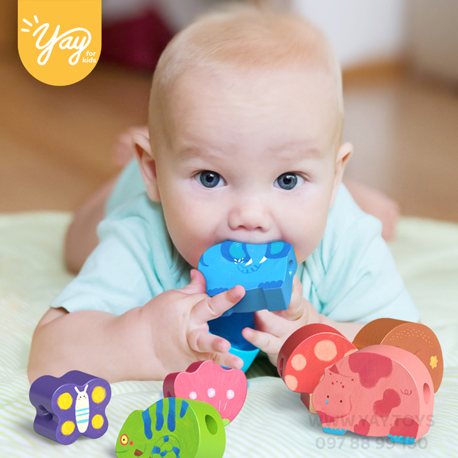 [3 chủ đề] Trò Chơi Xâu Hạt Gỗ Cho Bé 18m+