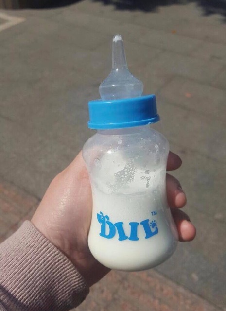 Bình ti bú sữa cho cún mèo con🍼🍼