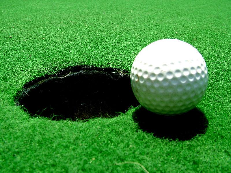 [ĐANG GIẢM GIÁ] Thảm tập Golf Putter gỗ