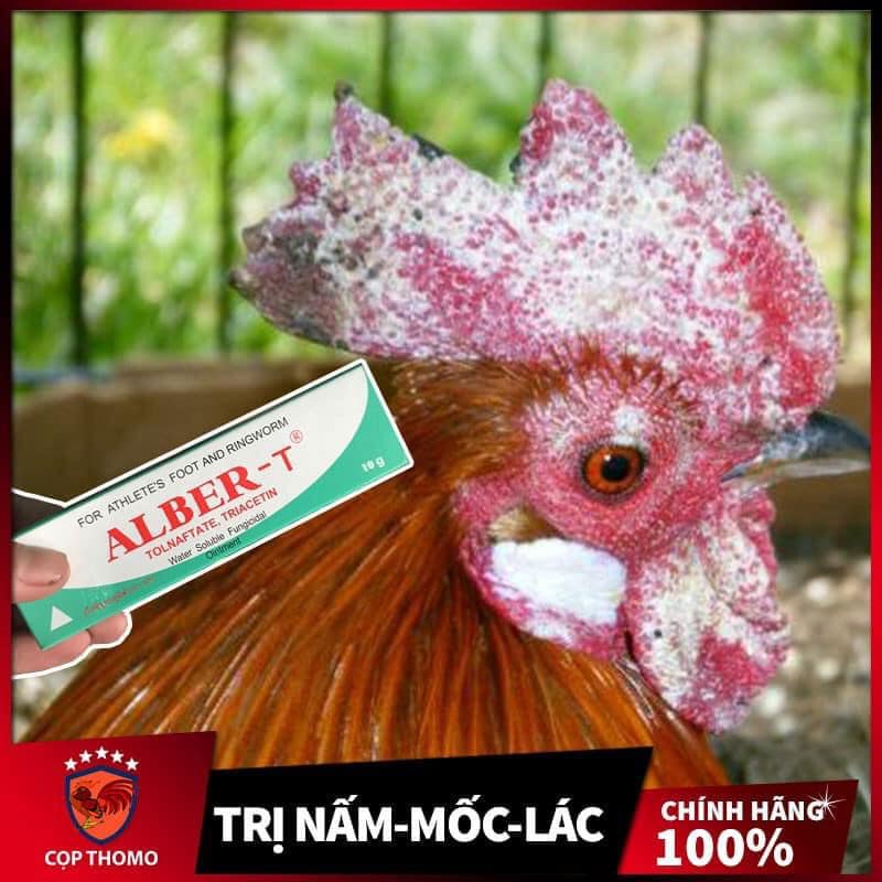 ALBER-T Chuyên dùng mốc lác cho gà chọi