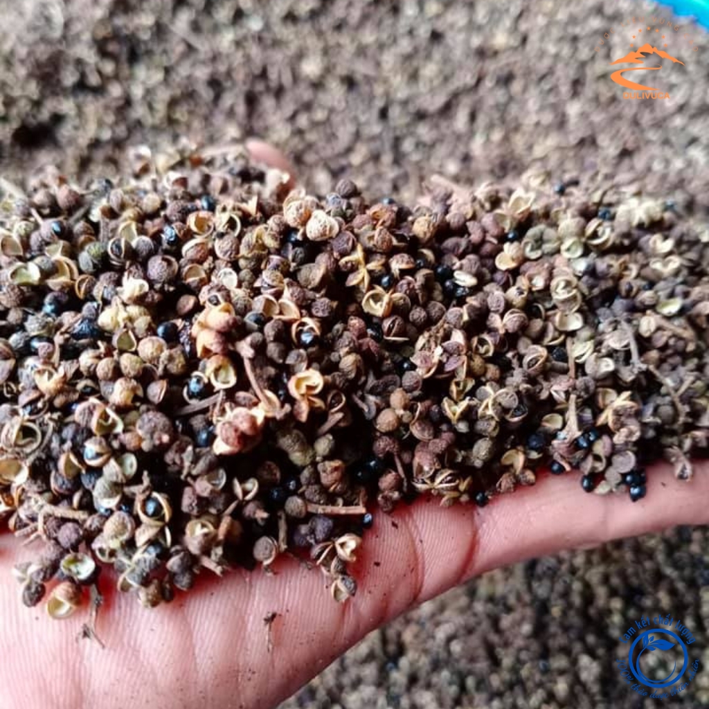 Hạt mắc khén Tây Bắc ba cánh loại 1 Đặc sản gia vị mắc khén hạt dổi chẩm chéo, hạt mắc kén hạt dổi nếp