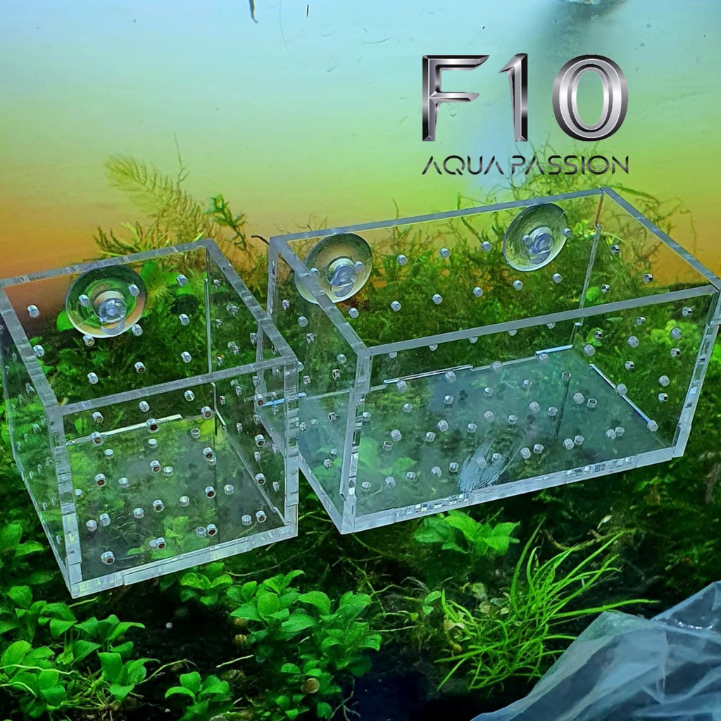 Cốc Trồng Cây Thủy Sinh Cốc đựng phân nền Mica Đẹp Rẻ Và Tiện Dụng