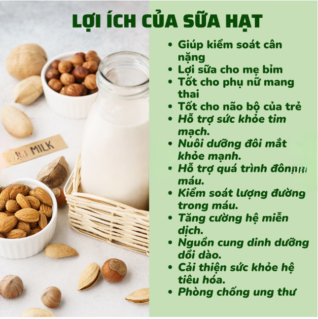 [Tặng Bình Nước] Combo 10 Set Hạt Dinh Dưỡng Mix Sẵn Làm Sữa Hạt