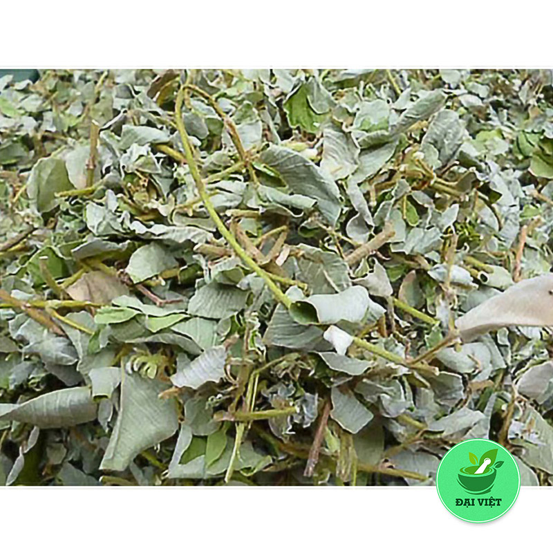 Kim tiền thảo (gói 1kg khô) - DV006